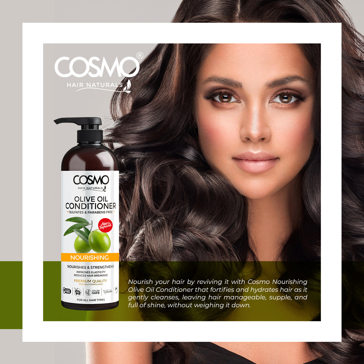Olive Oil Conditioner